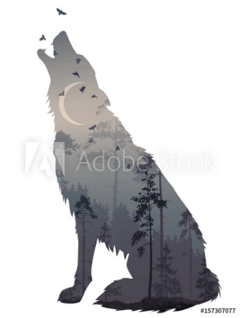 Bild på Silhouette of the howling wolf Inside of it is a mysterious night forest with a moon and flying birds Vector illustration isolated object